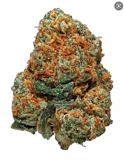 Abusive OG Strain