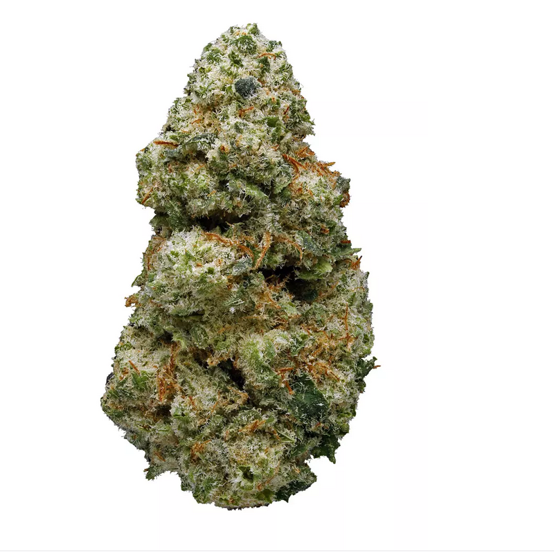 Alaskan Thunder Fuck Strain