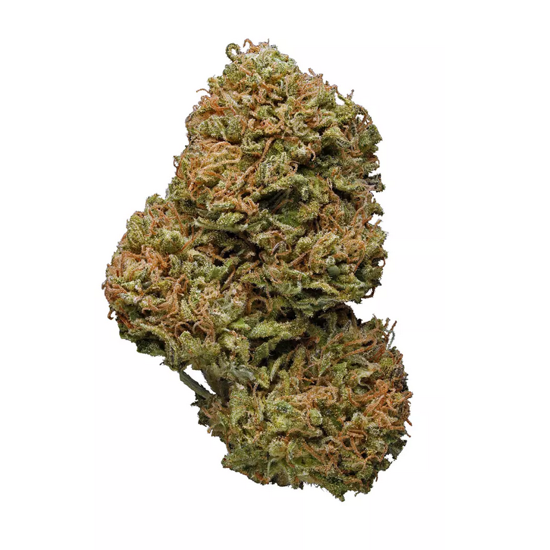 Amnesia Haze Strain
