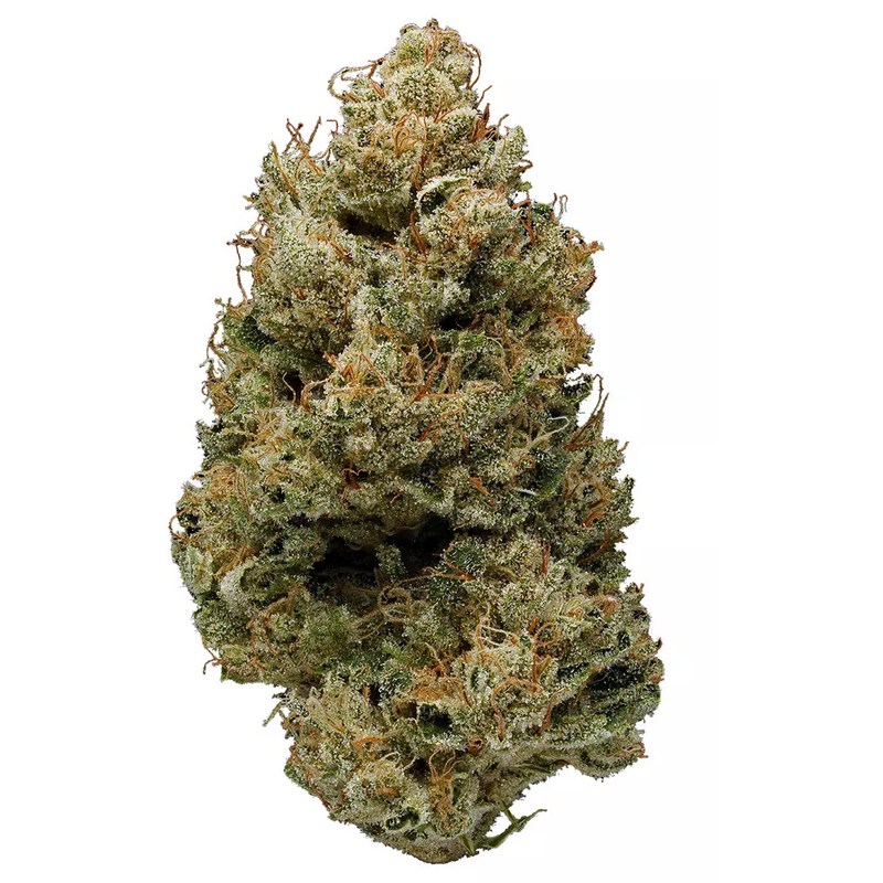 Obama Kush Strain