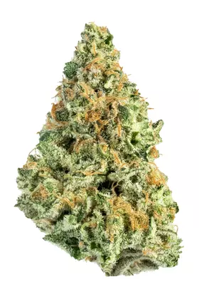 Banana MAC Strain