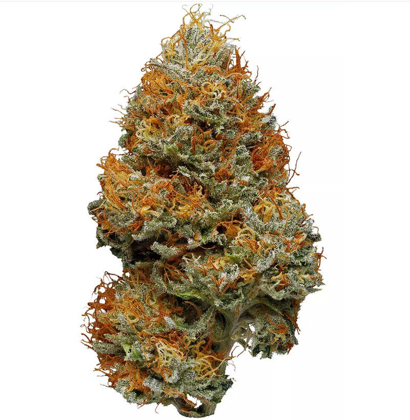 Blissful Wizard Strain