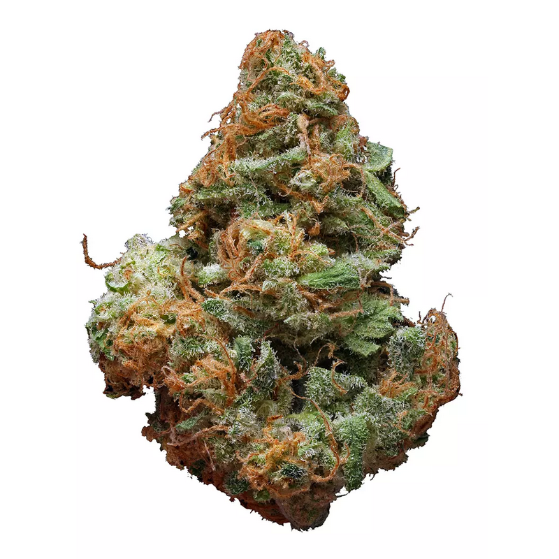 Blue Cheese Strain