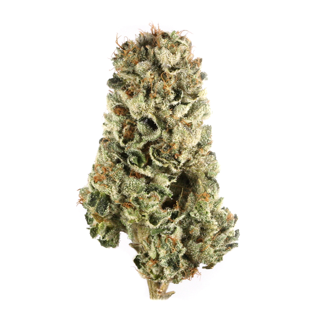 Bonkers strain