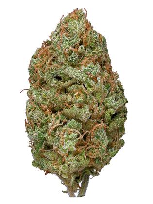 Purple Trainwreck strain
