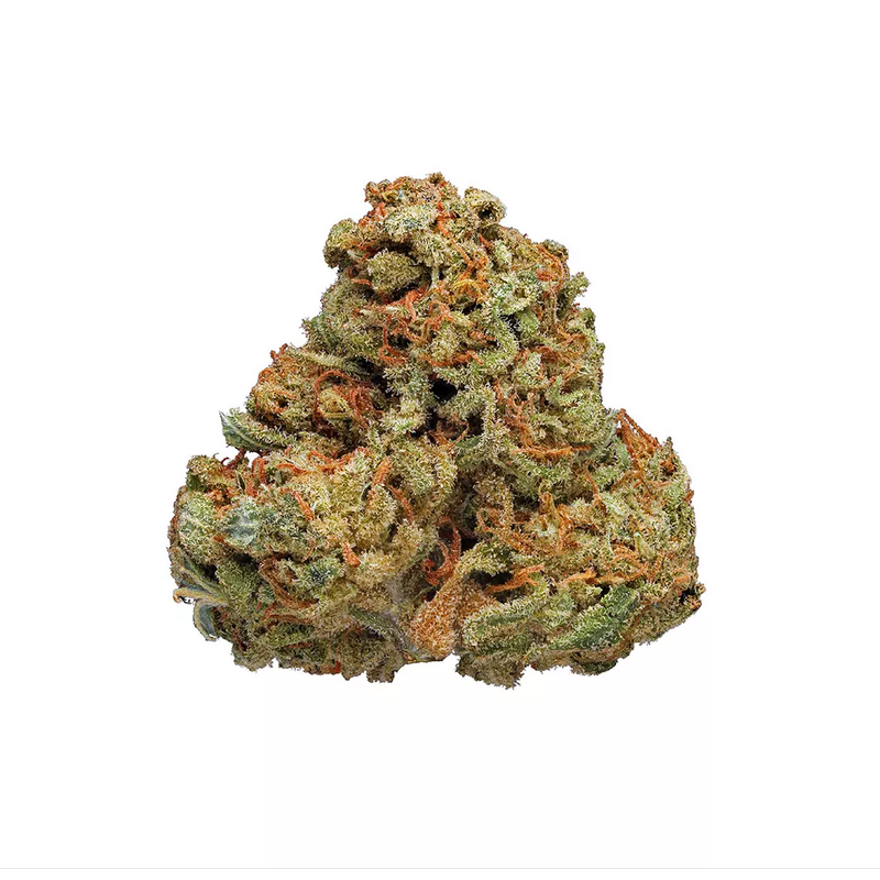 Cinderella 99 Strain
