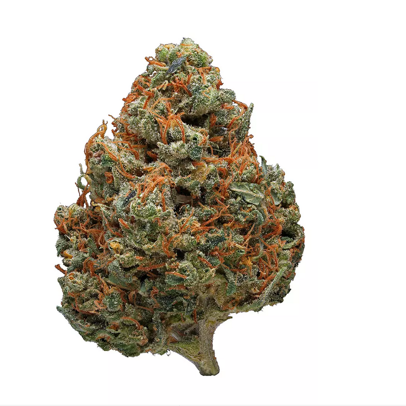 Durban Poison strain