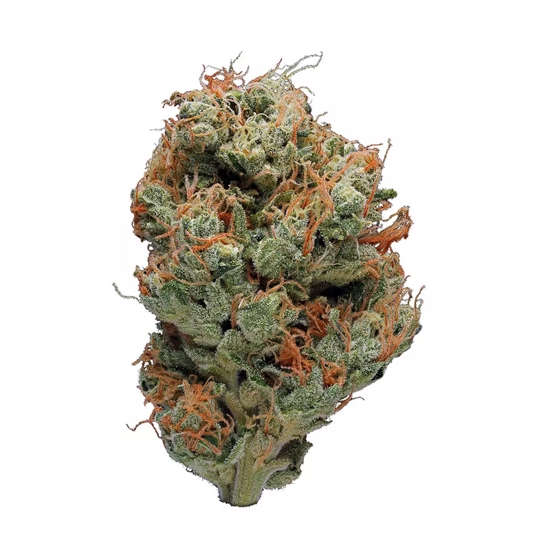 East Coast Sour Diesel