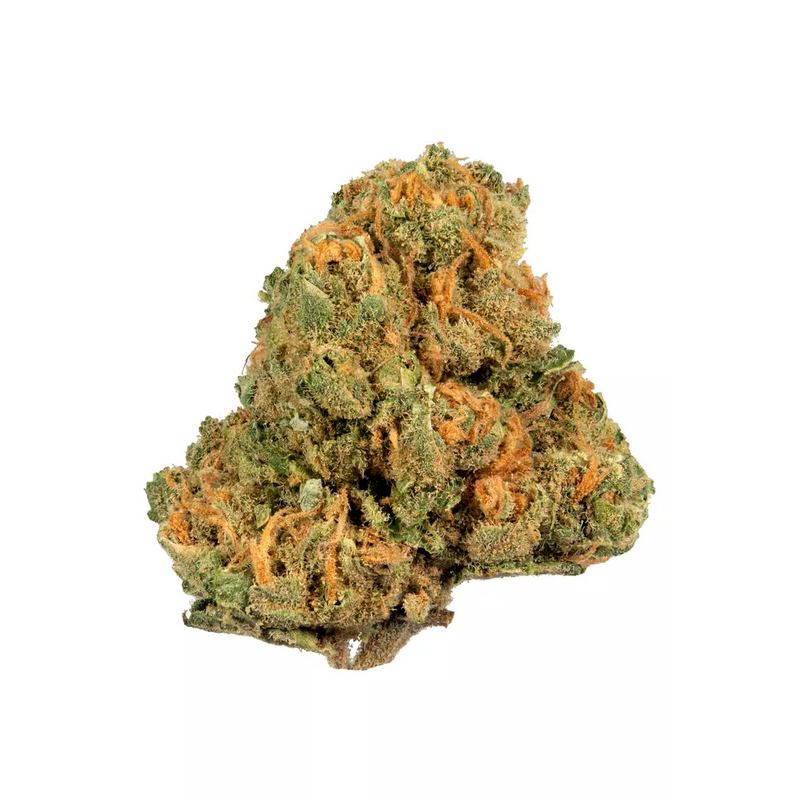 Jack Herer strain