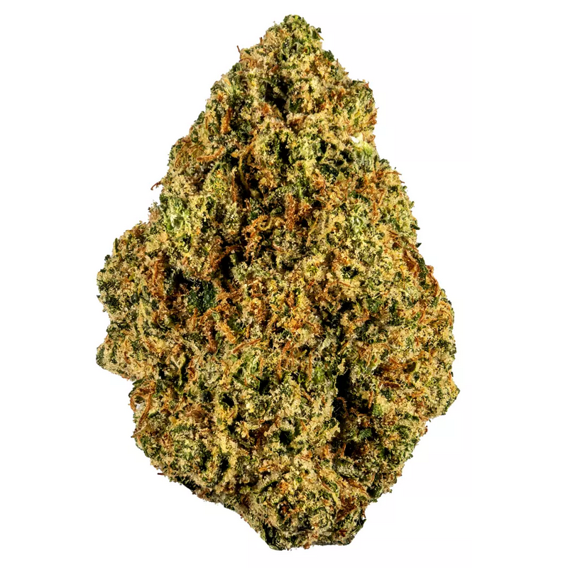 King Tut strain