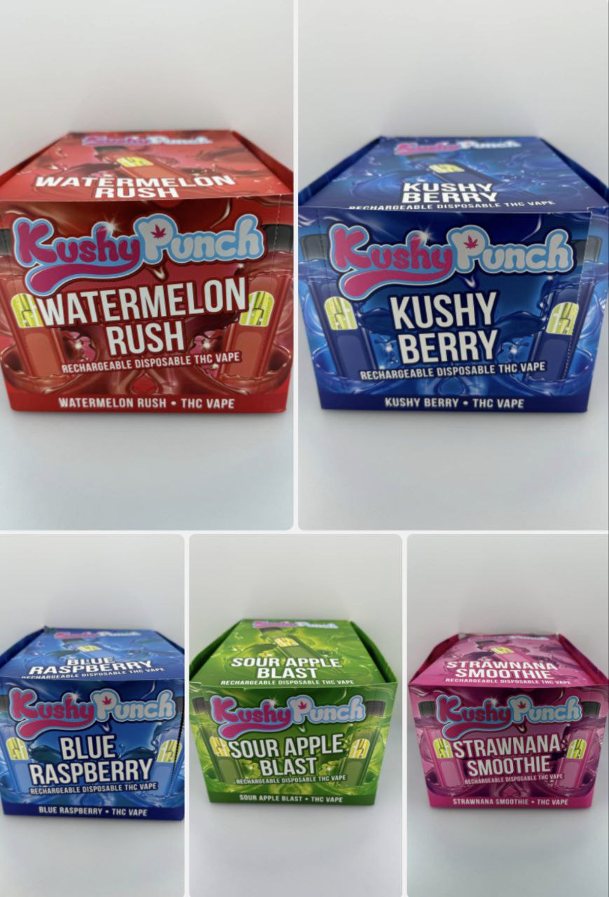 BUY Kushy Punch 1G Disposable - Image 2