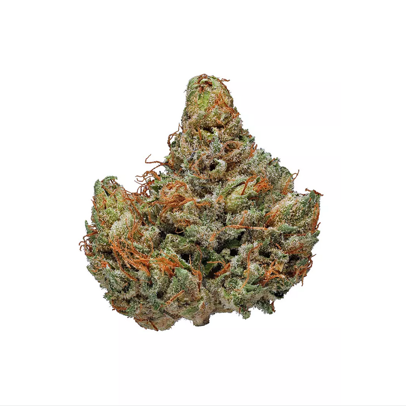 Master Kush strain