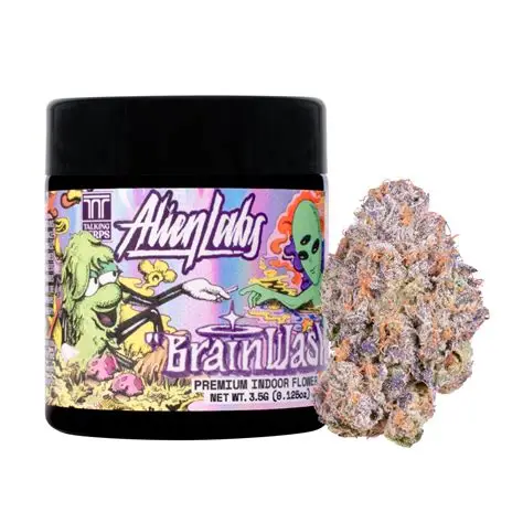 Brain Wash Alien Labs