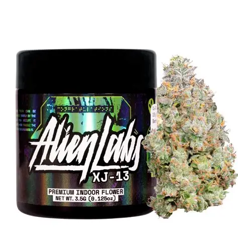 XJ-13 Alien Labs