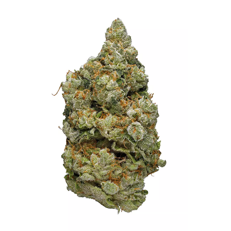 Platinum Purple Kush Strain