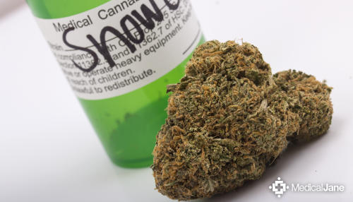 Snowcap THC Oil Tinctures
