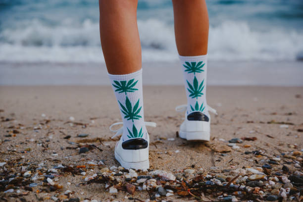 Socks Crew Maple New Leaf Cotton Plant Short Weed Cannabis Life