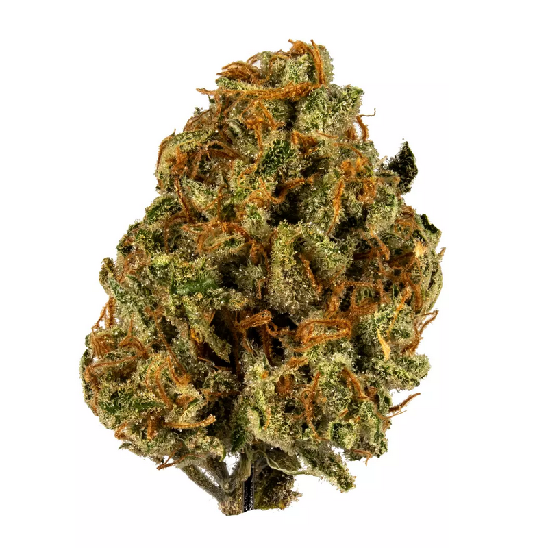 Super Lemon Haze strain