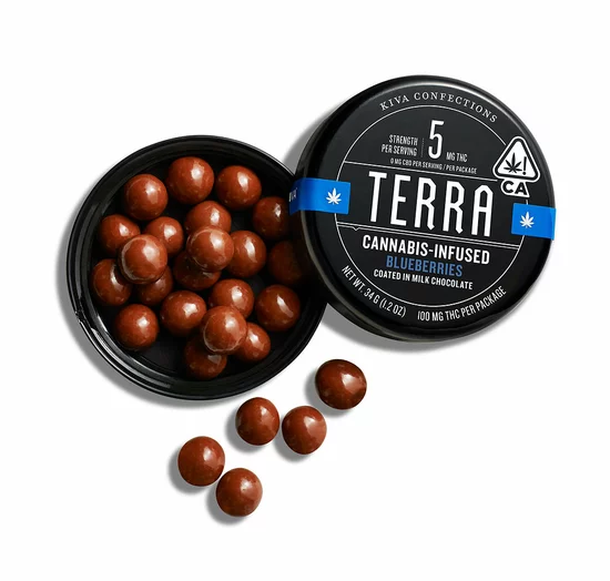 Terra Bites Chocolate Blueberries