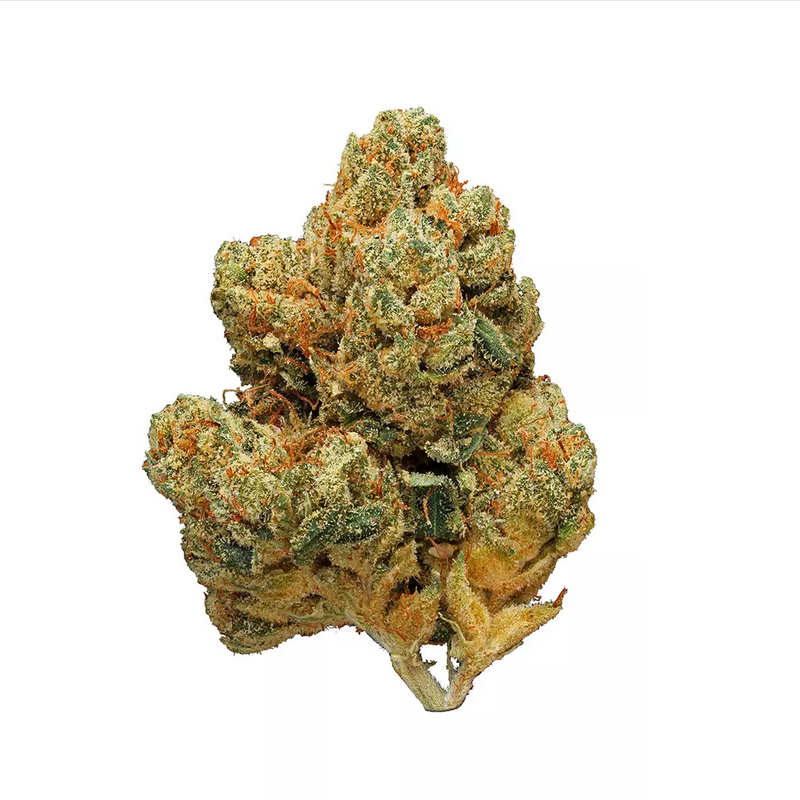 The White Strain