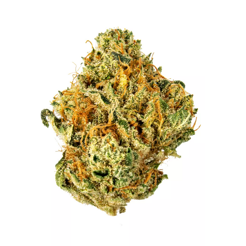UK Cheese Strain