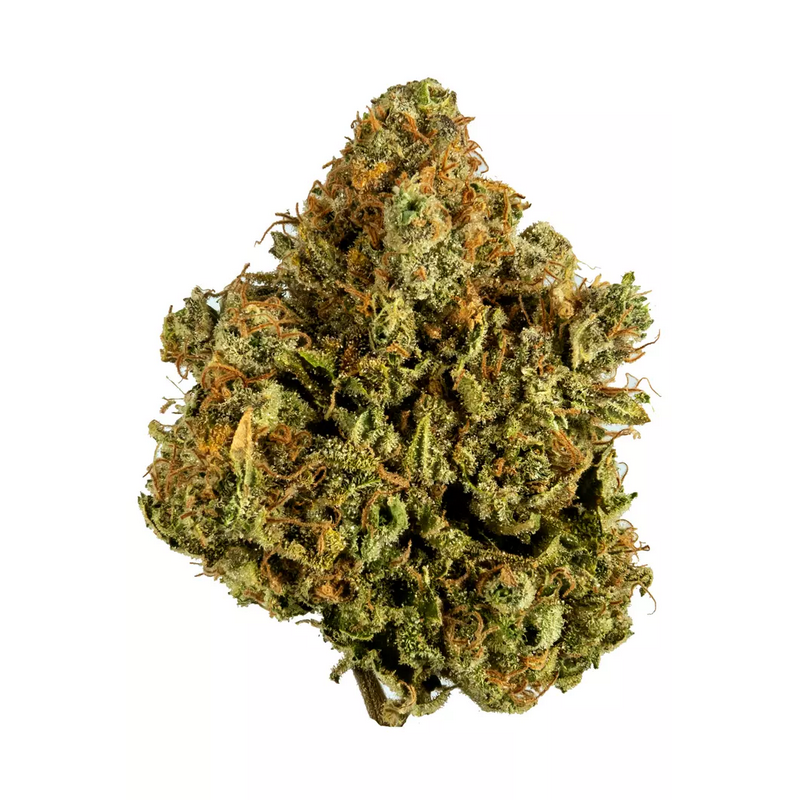 White Widow Strain