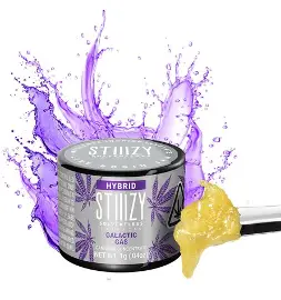 Galactic Gas Live Rosin Jam by STIIIZY Live Rosin