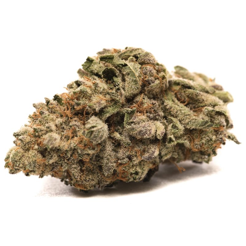 King Tut strain