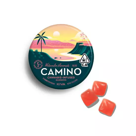 Camino Watermelon Lemonade