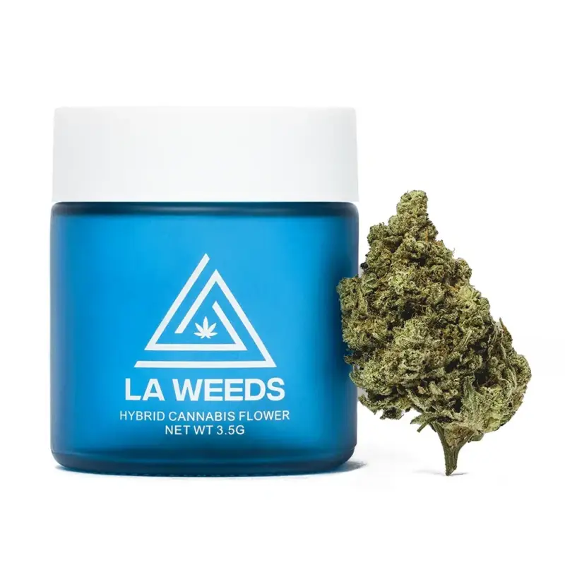 Godzilla Glue