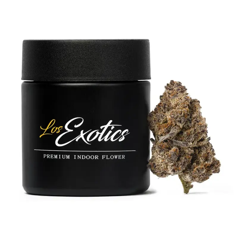 Purple Tangie