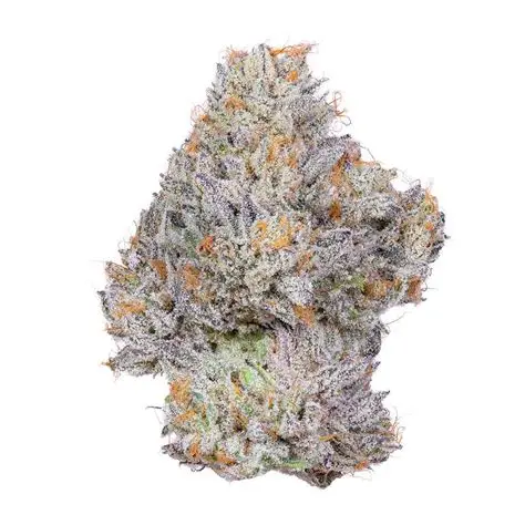 Creme de Menthe Alien Labs - Image 2