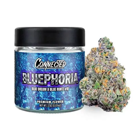 Bluephoria By Connected